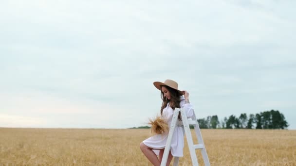 Fille libre courir à travers le champ de blé dans le parc. enfant de l'agriculture rêve concept amusant. fille agricultrice mains sur les côtés court à travers le champ de blé. heureux fille libre courir dans le parc terres agricoles — Video