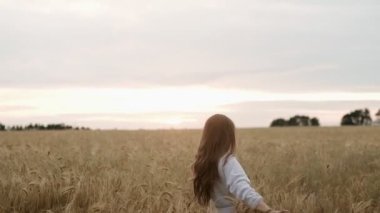 Genç bir kız mutlu bir şekilde tarlada yürüyor buğday kulaklarıyla dokunuyor, güzel kaygısız kadın buğday tarlasında gün ışığının ve doğanın tadını çıkarıyor inanılmaz renkli günbatımında.
