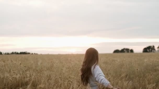 Mladá dívka šťastně kráčí ve zpomaleném filmu přes pole dotýká s rukou pšeničné uši, Krásná bezstarostná žena těší přírodu a slunce v pšeničném poli při neuvěřitelném barevném západu slunce — Stock video