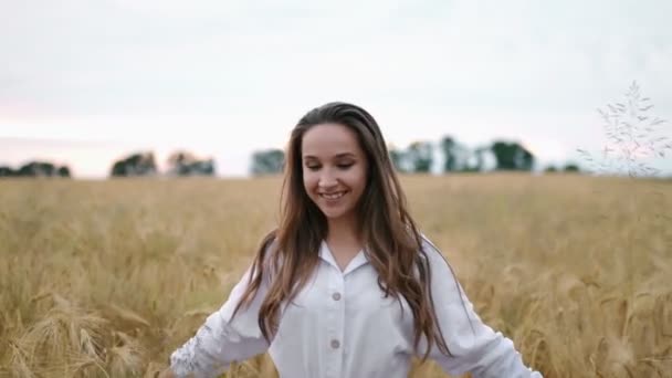 Ein junges Mädchen, das fröhlich in Zeitlupe durch ein Feld geht und dabei Weizenähren berührt, Schöne unbeschwerte Frau, die die Natur und das Sonnenlicht im Weizenfeld bei unglaublichem, farbenfrohen Sonnenuntergang genießt, Nahaufnahme — Stockvideo