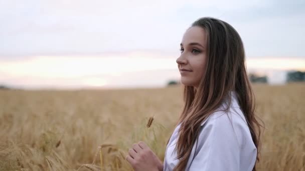 Romantická a bezstarostná mladá žena ve zpomaleném videu, kráčející po polní pšenici a užívající si svobody a klidu na venkově během prázdnin, neuvěřitelně pestrý západ slunce, filmové ráno — Stock video