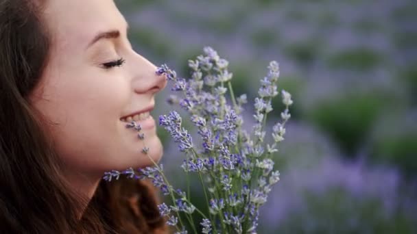 Close-up bela fêmea farejando flores de lavanda em um vestido brilhante de verão, campo Lavander — Vídeo de Stock