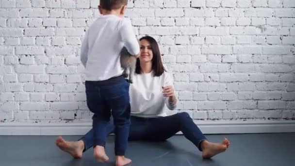 Boldog fiatal barna anya játszik fiával 5-6 évig a padlón egy kiscicával a fény háttér a házban. Családi kényelem és szabadidő, 4K — Stock videók
