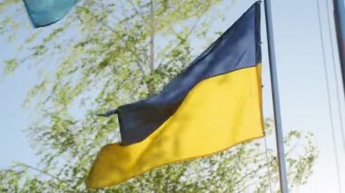 Ukrayna bayrağı. Ukrayna bayrağı. Ukrayna Bayrakları Yavaş Hareket videosu. Ukrayna Bayrağı Üç Renkli Yakından Patlıyor. Bayraklar Ukrayna 'nın geçmişini gösteriyor. Ukrayna bayrağı