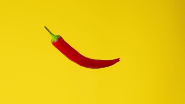 Red Hot Chilli Paprika Izolované Rotující Černém Pozadí Čerstvé Zářivé — Stock video