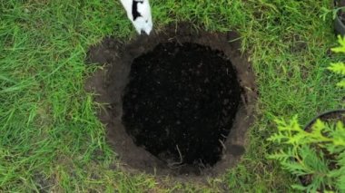 Toprağa bitki dikmek için peyzaj hazırlıyorum. Evin yakınındaki bahçede çalışmak toprağı çukura dökme süreci, başlık manzarası..