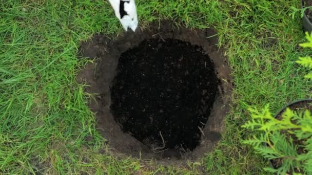 Landscaping Het Voorbereiden Van Gaten Voor Het Planten Van Planten — Stockvideo