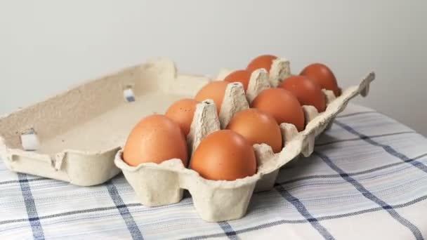 Row Chicken Eggs One Egg Open Cooking Food Healthy Food — Vídeos de Stock