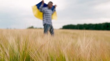 Agronomist in the middle of the field with the flag of Ukraine on his shoulders.
