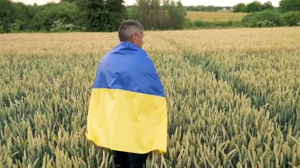 War Ukraine Man Walks Field Large Flag Ukraine — Stock video