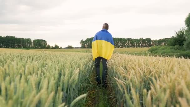 Camera Follows Slow Motion Man Walking Wheat Field Ukrainian Flag — Vídeos de Stock