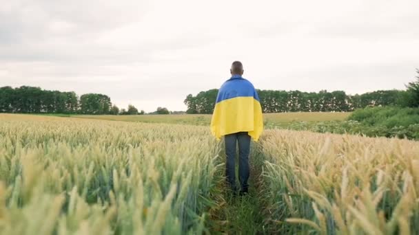 Украинский Фермер Стоит Посреди Поля Золотой Пшеницы Флагом Украины Внешняя — стоковое видео