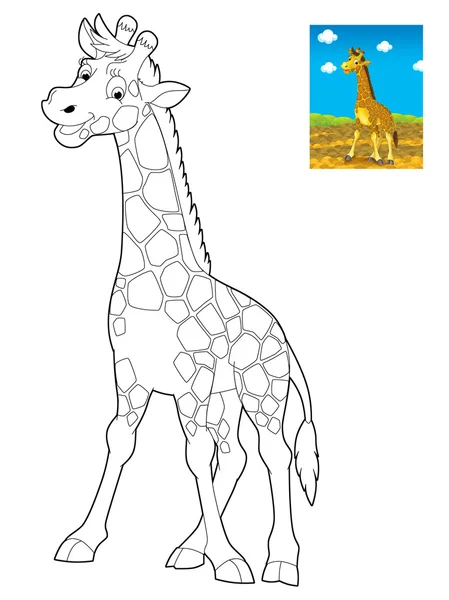 Cartoon safari - illustration for the children — Stock Photo, Image