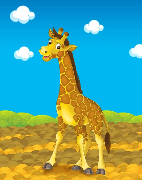 Kreslený safari - ilustrace pro děti — Stock fotografie