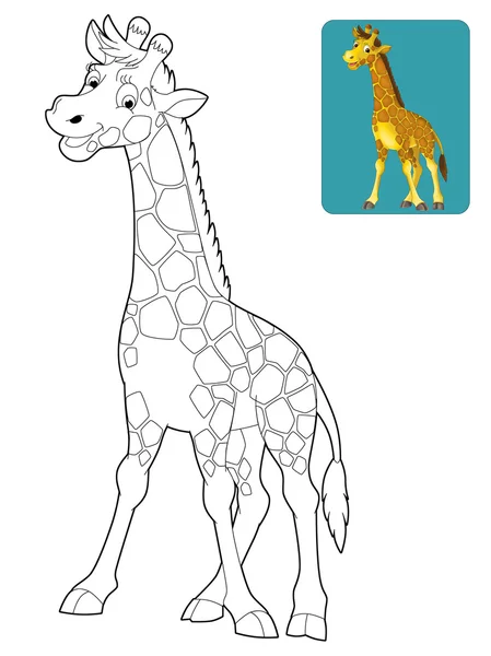 Cartoon giraffe — Stockfoto