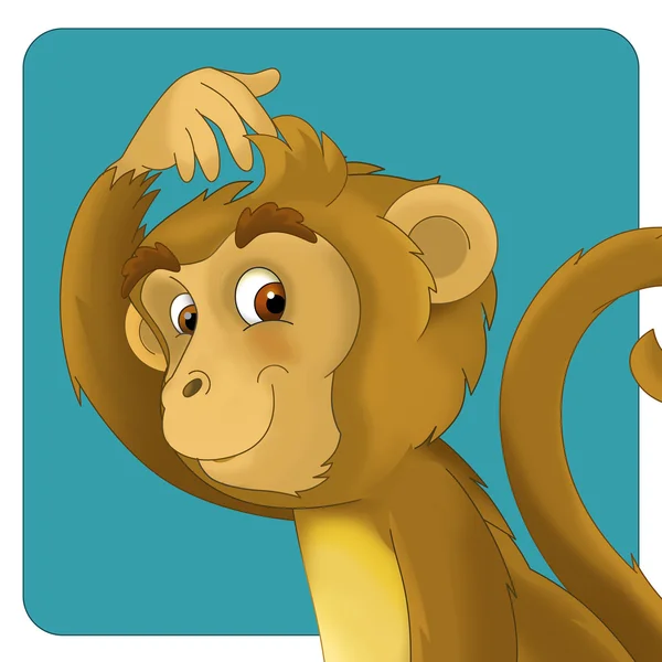 Cartoon monkey — Stock Photo, Image