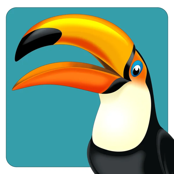 Karikatür toucan — Stok fotoğraf