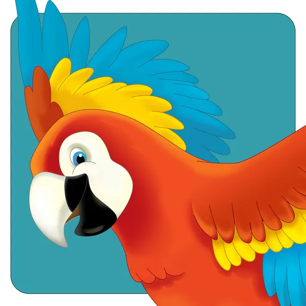 Cute macaw cartoon flying — Stock Photo, Image