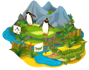 çizgi film zoo çocuklar rockhopper penguen için