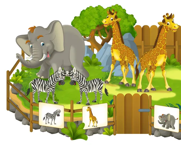 Safari cartoon zoo — Stock Photo, Image