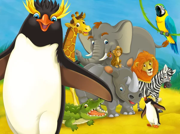 Cartoon dierentuin voor kinderen-rockhopper pinguïn — Stockfoto