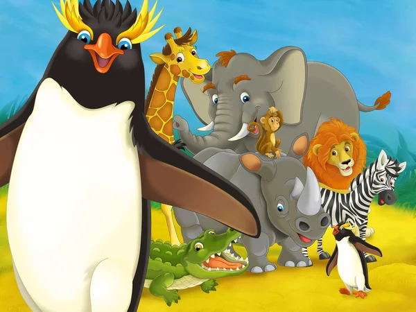 Zoológico de desenhos animados para crianças- Pinguim Rockhopper — Fotografia de Stock