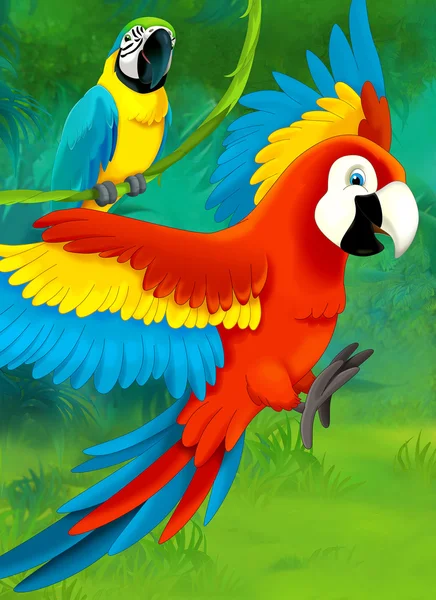 Legrační papoušek kreslený — Stock fotografie