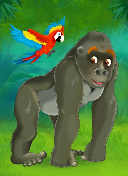 Kreskówka goryl i papuga — Zdjęcie stockowe