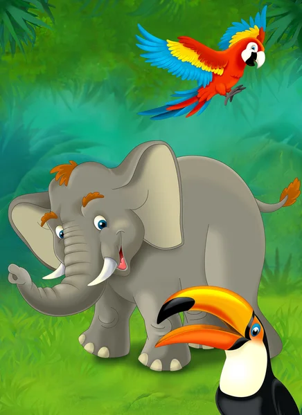 Cartoon safari — Stockfoto