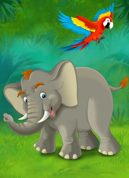 Cartoon safari — Stock Photo, Image