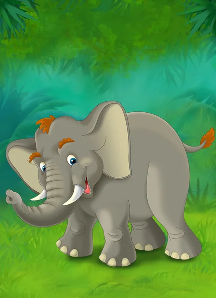 Kreslený slon — Stock fotografie