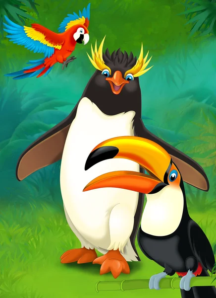 Cartoon tropical. penguin and parrots — Stock Photo, Image