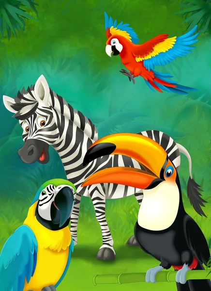 Cartone animato tropicale o safari. zebra e pappagalli — Foto Stock