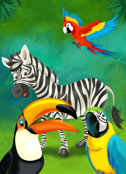 Dibujos animados tropicales o safari. cebra y loros — Foto de Stock