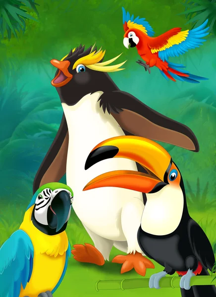 Caricatura tropical. pingüino y loros — Foto de Stock
