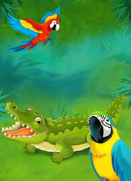 Cartoon tropiska. krokodil och papegojor — Stockfoto
