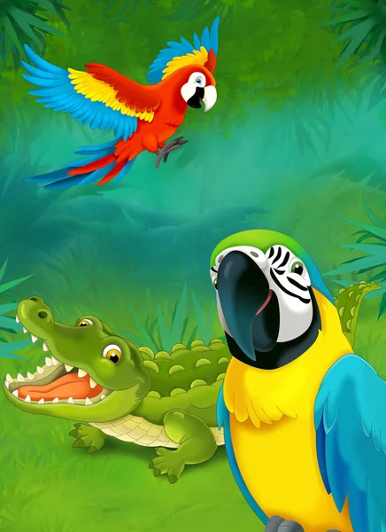 Karikatür tropikal. Timsah ve papağan — Stok fotoğraf