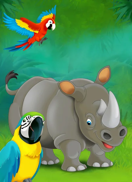 Cartoon tropical or safari. Rhino and parrots — Stock Photo, Image