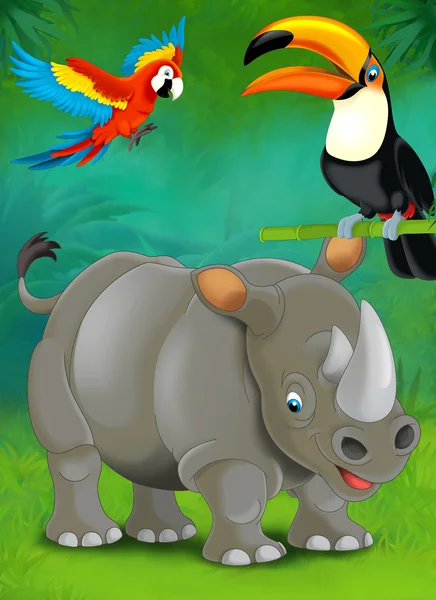 Cartoon tropiska eller safari. Rhino och papegojor — Stockfoto