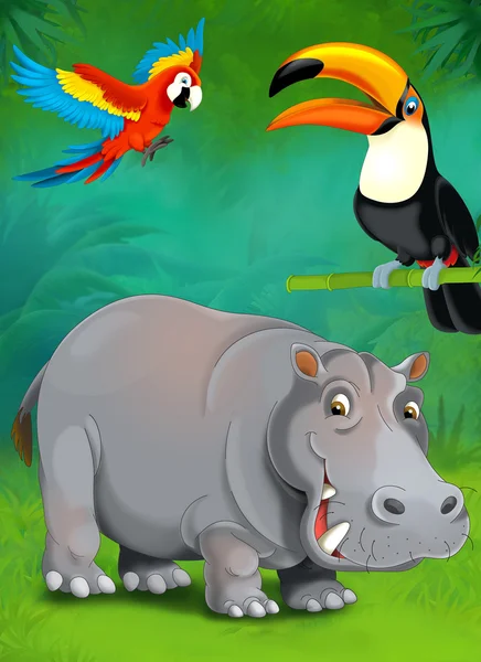 Dibujos animados tropicales o safari. Hipopótamo y loros — Foto de Stock