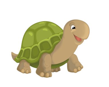 The cartoon turtle illustration