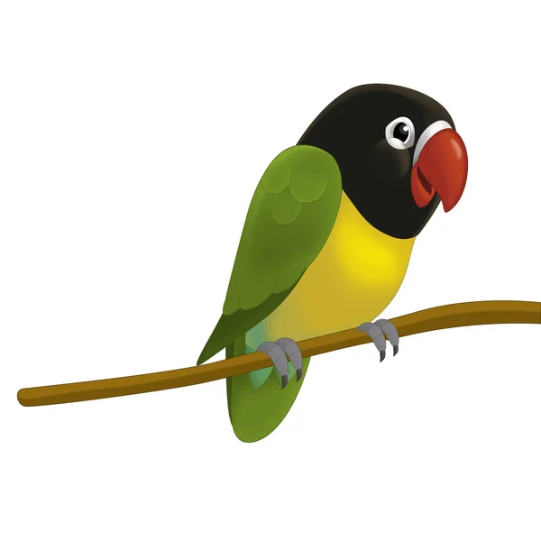 The cartoon bird parrot — Stock Photo, Image