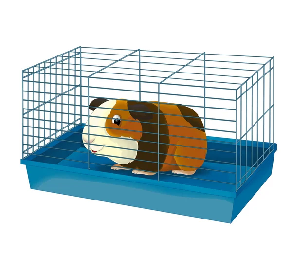 The cartoon - guinea pig — Stock Photo, Image