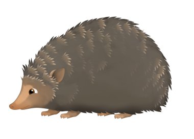 karikatür kirpi