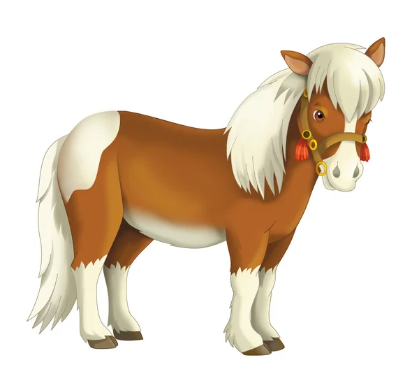 Lächelndes Pferd - Wild-West-Serie — Stockfoto