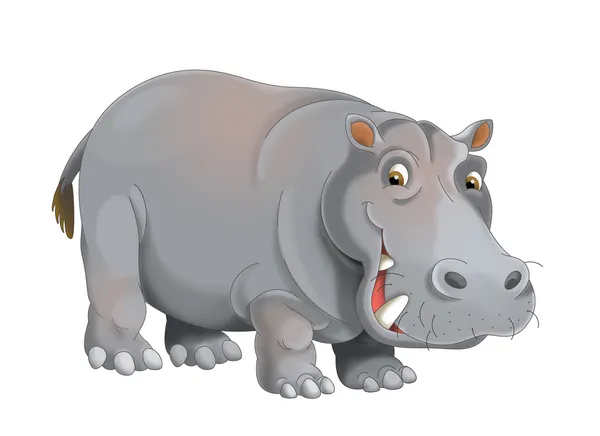  Dibujos animados hipopótamo fotos de stock, imágenes de Dibujos animados hipopótamo sin royalties