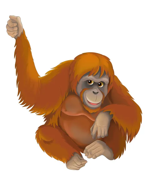 Zeichentrick-Orang-Utan-Affe — Stockfoto