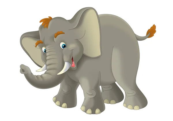 Dessin animé éléphant - illustration pour les enfants — Photo