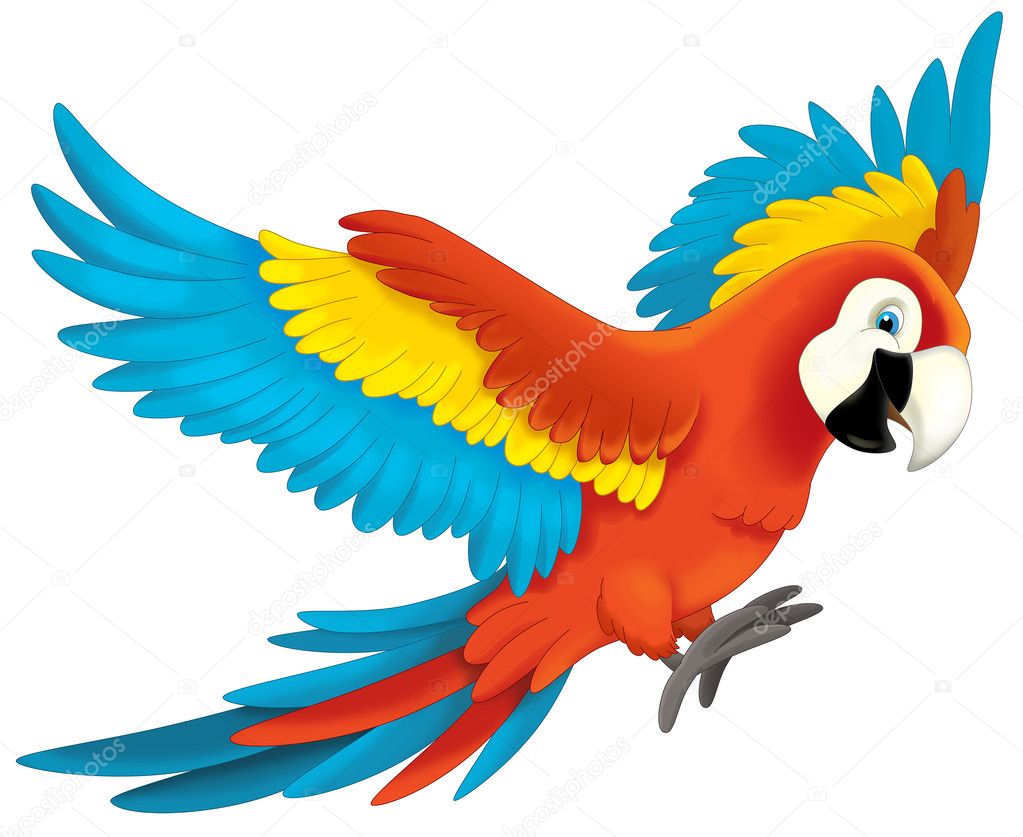 jungle parrot clipart