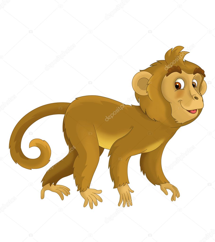 Cartoon jungle - safari - illustration for the children Stock Photo by ©agaes8080 36262481 Cartoon jungle - safari - illustration for the children Stock Photo by ©agaes8080 36262481